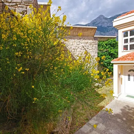 Vesna * Makarska